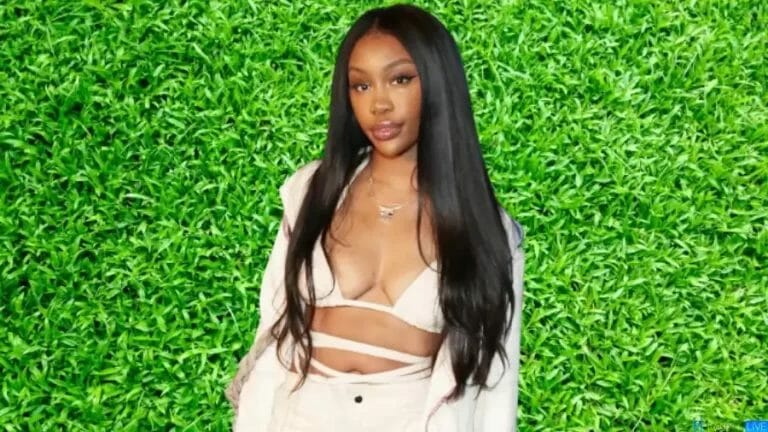 Sza Ethnicity, What is Sza Ethnicity? - networth, wiki, biography