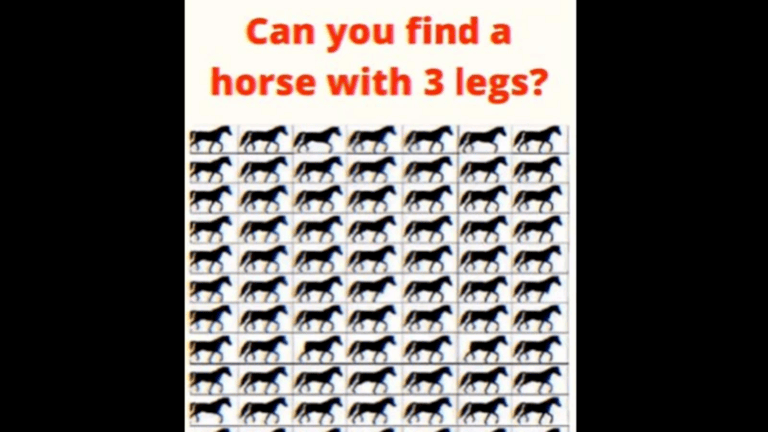 Viral brain teaser: Can you find the horse with three legs? - networth, wiki, biography