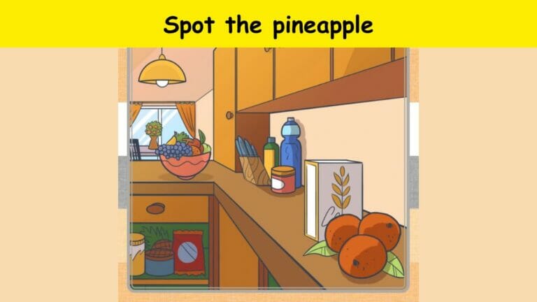 Visual Test: You have hawk-like eyes if you can spot the pineapple in kitchen within 5 seconds! - networth, wiki, biography