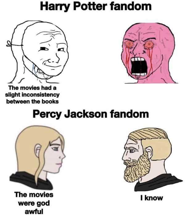 20 Percy Jackson Memes That Will Have You Giggling 2023 - networth, wiki, biography