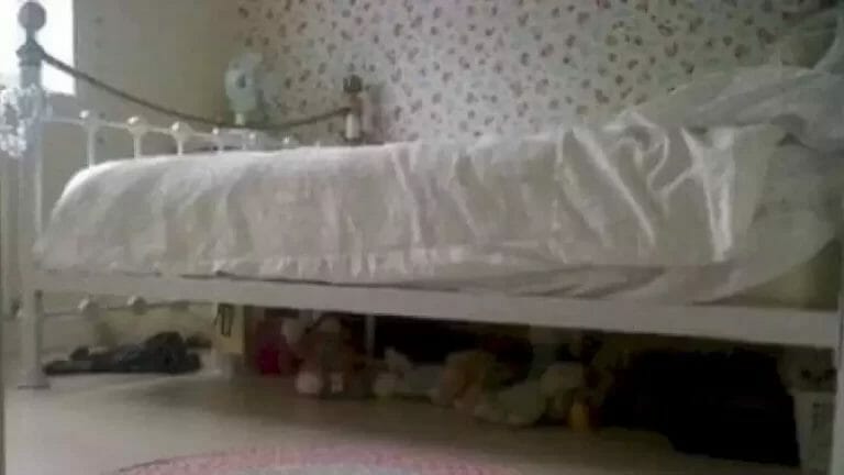 10 Secs Optical Illusion Challenge Can You Spot The Hidden Cat In The Image? - networth, wiki, biography