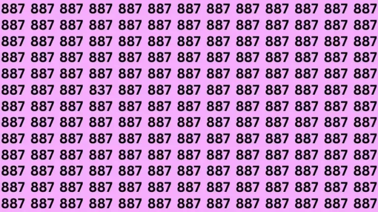 Optical Illusion Brain Test: If you have 50/50 Vision Find the number 837 in 12 Secs - networth, wiki, biography