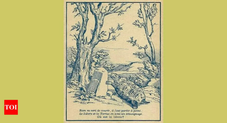 Optical Illusion: You are a genius if you can find a rabbit in this picture - networth, wiki, biography