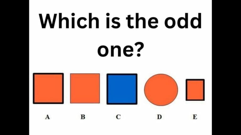 Brain Teaser: Pick the odd one out among these geometric shapes - networth, wiki, biography