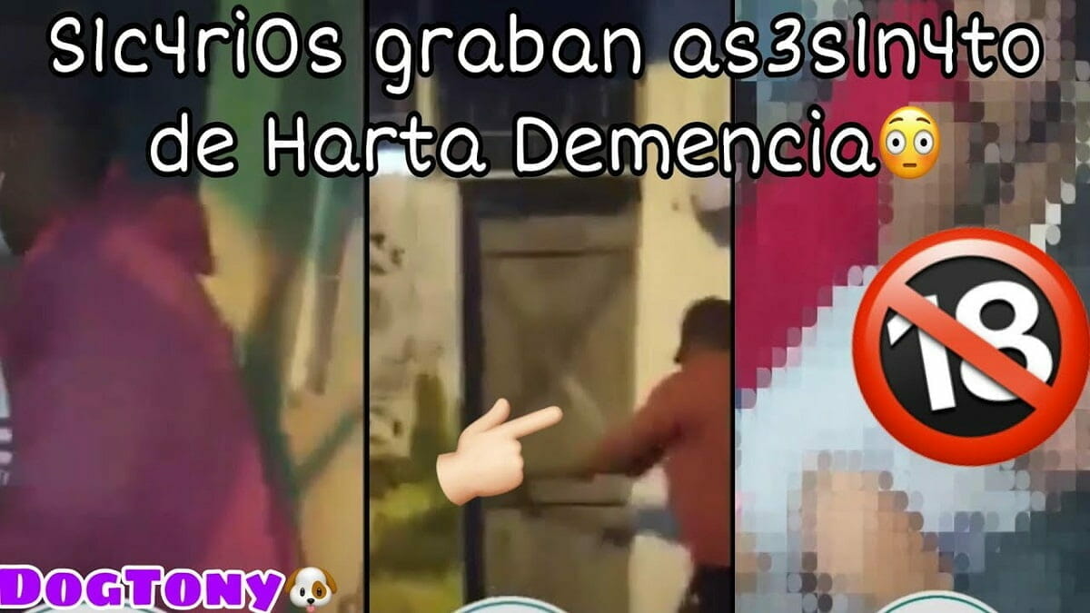 Harta Demencia Viral Video: Gore Original Del As3sinato De Harta Demencia Filtrado 2023 - networth, wiki, biography