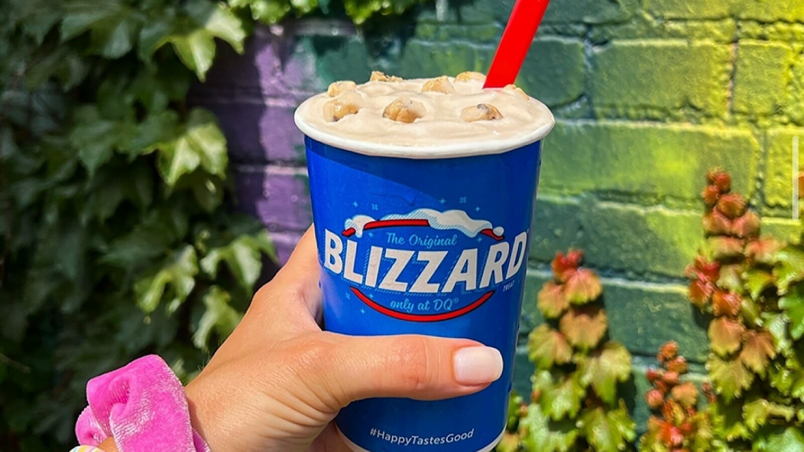 How to get $0.85 worth of Blizzards at Dairy Queen this September 2023 - networth, wiki, biography