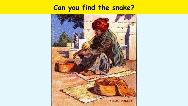 Only the sharpest people can spot a snake hiding from a snake charmer in 6 seconds! - networth, wiki, biography