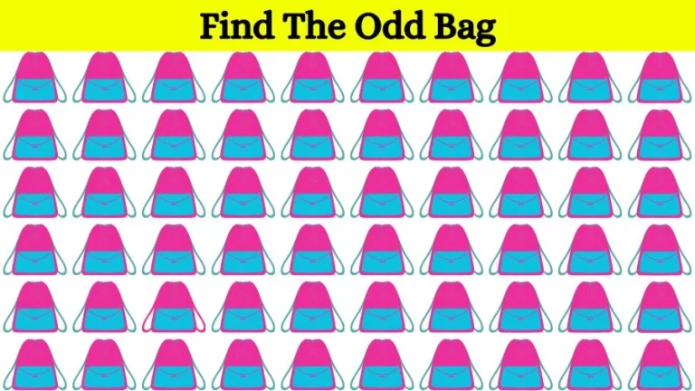 Optical Illusion: If you have Eagle Eyes find the Odd Bag in 18 Seconds - networth, wiki, biography