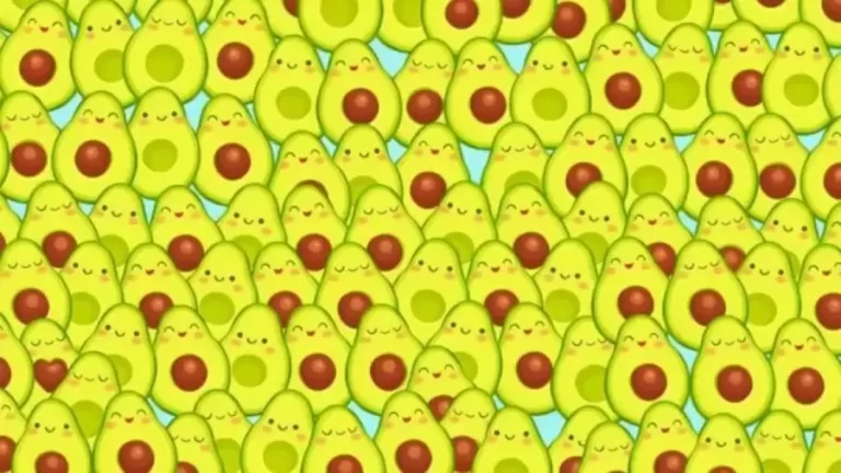 Optical Illusion Visual Test: Can You Find an Avocado With The Heart Shaped Pit In It In This Image Within 15 Seconds? - networth, wiki, biography
