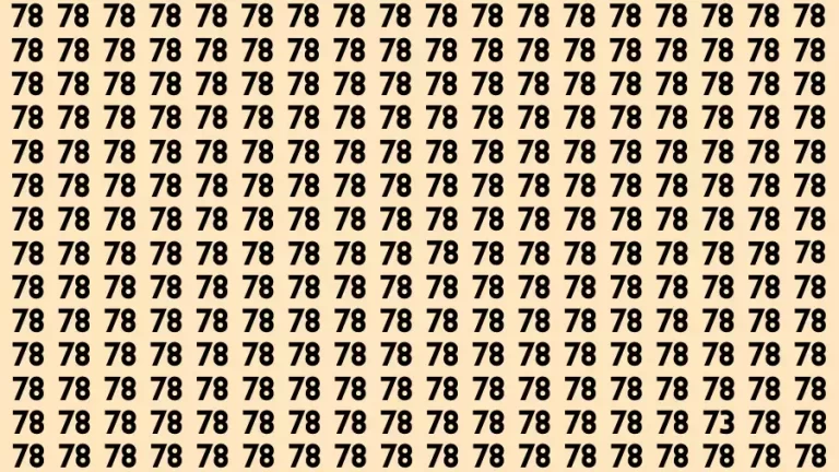 Optical Illusion Visual Test: You need to be eagle eyed to spot hidden number 73 in sea of 78s in 15 seconds - networth, wiki, biography