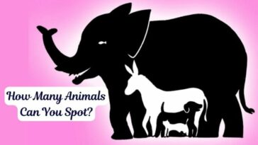 Optical illusion IQ test: How many animals can you spot in the picture within 10 seconds? - networth, wiki, biography