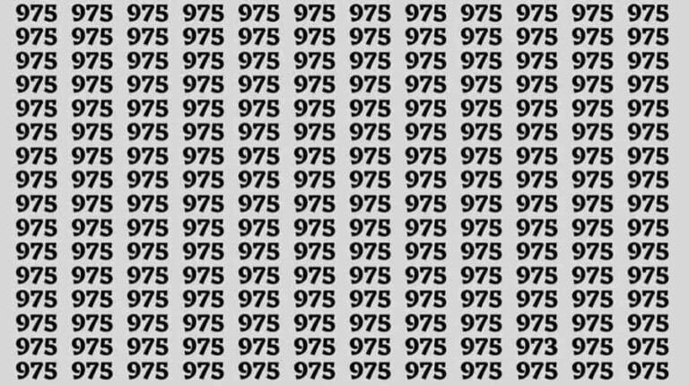 Optical illusion to test your IQ: you have eagle eyes if you can spot the number 973 among 975 in 3 seconds - networth, wiki, biography