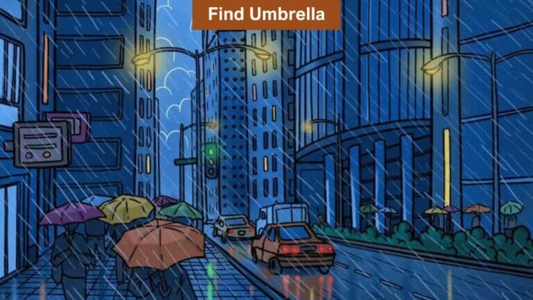 Optical illusion to test your eyesight: Find the hidden umbrella in 8 seconds! - networth, wiki, biography