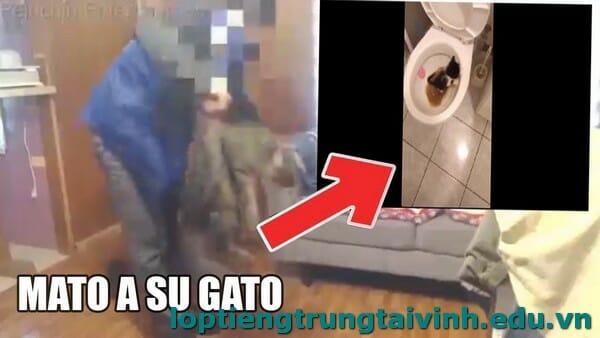 Peluchin Entertainment Video: A Deep Dive into Fame and Controversy 2023 - networth, wiki, biography