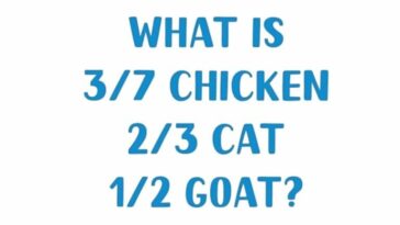Puzzle IQ test: Guess the name of the city from the picture puzzle within 9 seconds! - networth, wiki, biography