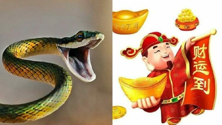 Sau Tết Trung thu: 4 tuổi được Phật Bà che chở làm 1 hưởng 10, tiền nhiều như nước 2023 - networth, wiki, biography