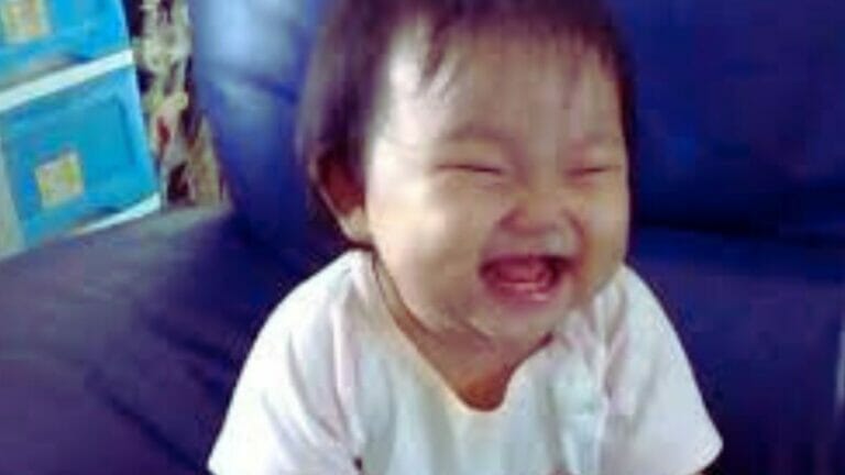 The best American memes that will tickle your funny bone! - networth, wiki, biography