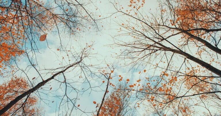 The best VSCO filters, from classic film to cinematic - networth, wiki, biography