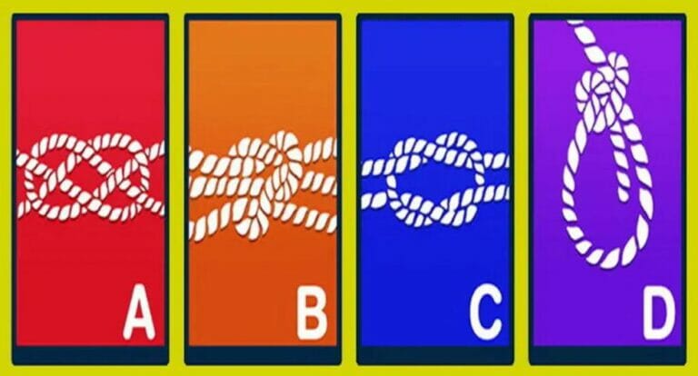 The knot you think is the tightest will reveal who you are - networth, wiki, biography