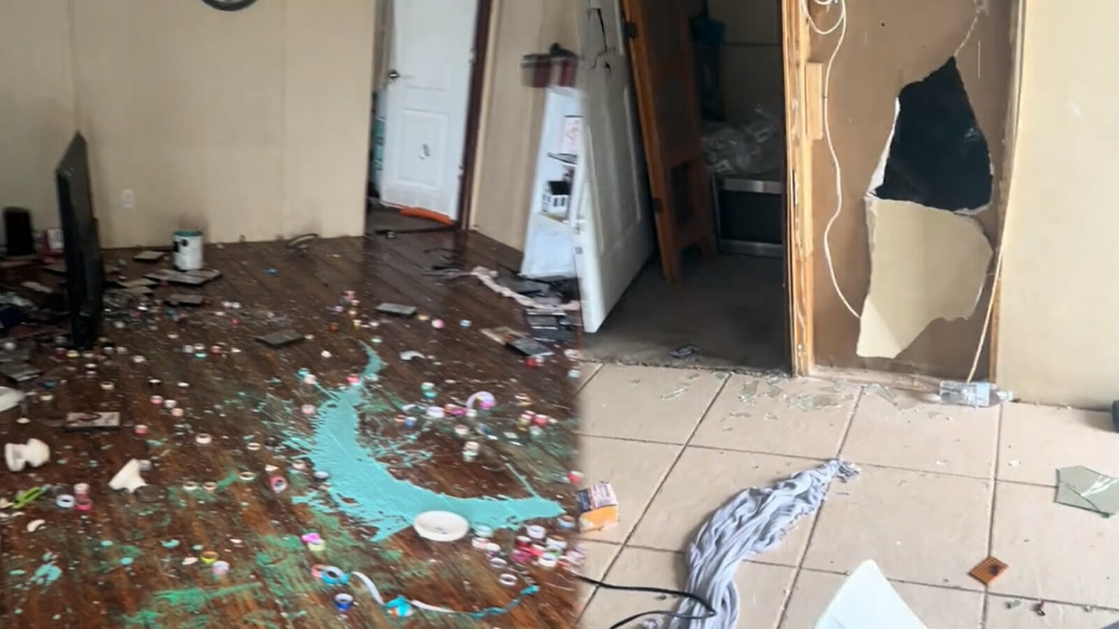 TikToker goes viral with image of “unreal” house damage done by “aggressive” family member 2023 - networth, wiki, biography