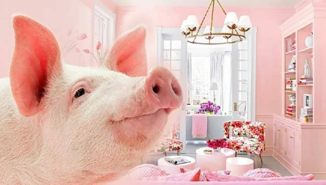 Tuần mới (25/9-1/10): 3 tuổi vận trình lên hương, tận hưởng phú quý, tiền tiêu rủng rỉnh 2023 - networth, wiki, biography