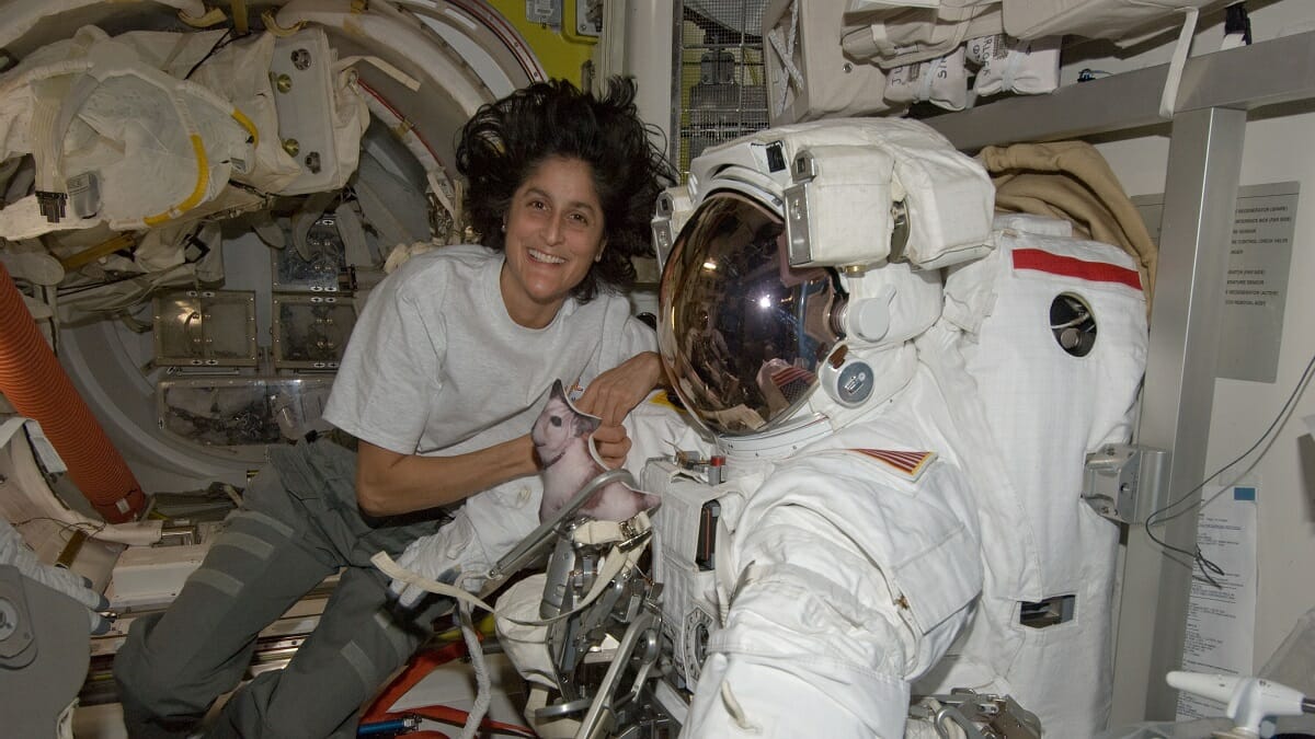 Who Is Sunita Williams Husband, Michael J. Williams? Kids and Family 2023 - networth, wiki, biography