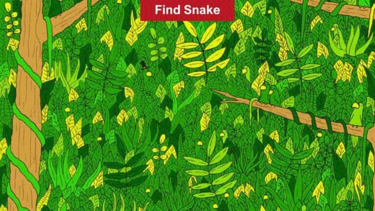 You have eagle eyes if you can spot a hidden snake in a tree in 9 seconds! - networth, wiki, biography
