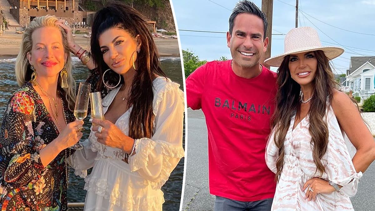 Dina Manzo and Teresa Giudice’s wedding Drama explained 2023 - networth, wiki, biography