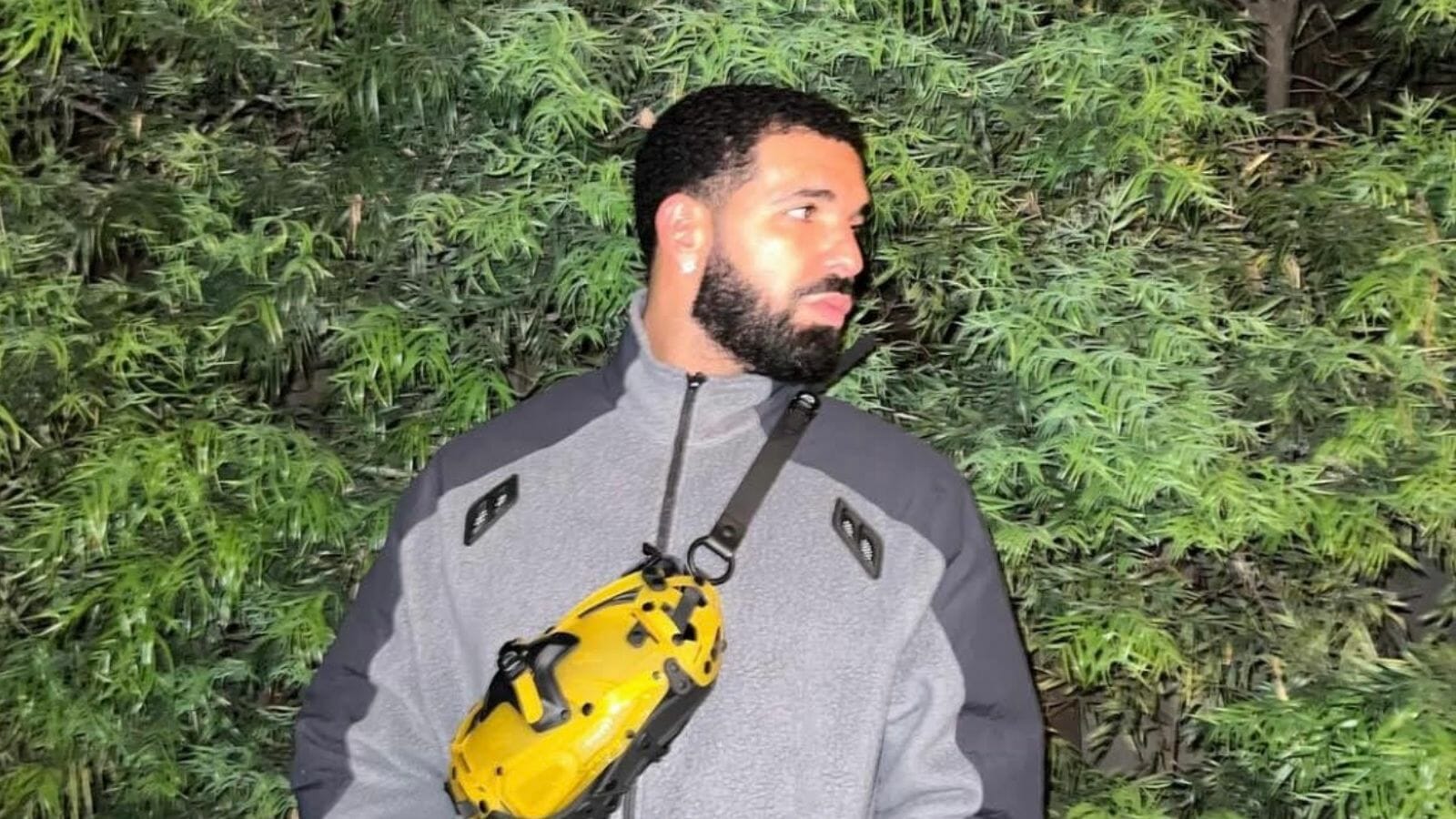 Drake was criticized for giving away $50,000 to fans during a concert 2023 - networth, wiki, biography