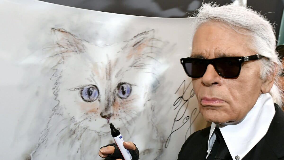 Fact check: Is Karl Lagerfeld Cat Choupette Still Alive? 2023 - networth, wiki, biography