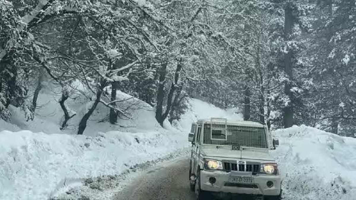 High Tourism Boost Because Of Early Snowfall In Kashmir 2023 - networth, wiki, biography