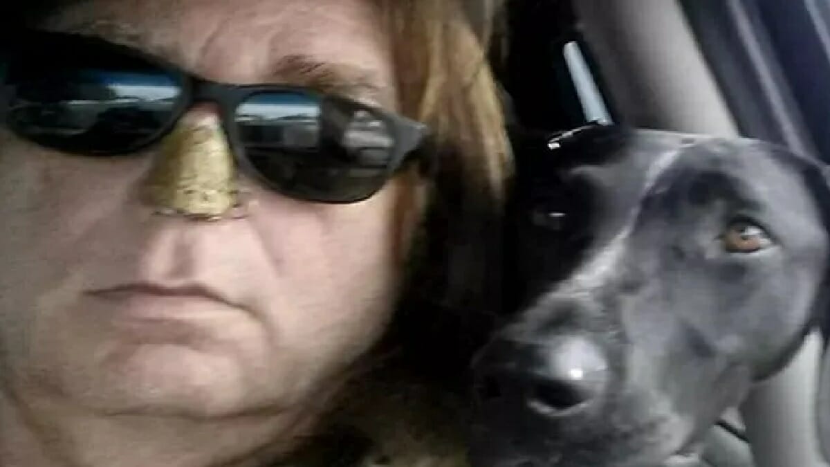 Is James Jacobson Missing? Accused Of Exploiting Men 2023 - networth, wiki, biography