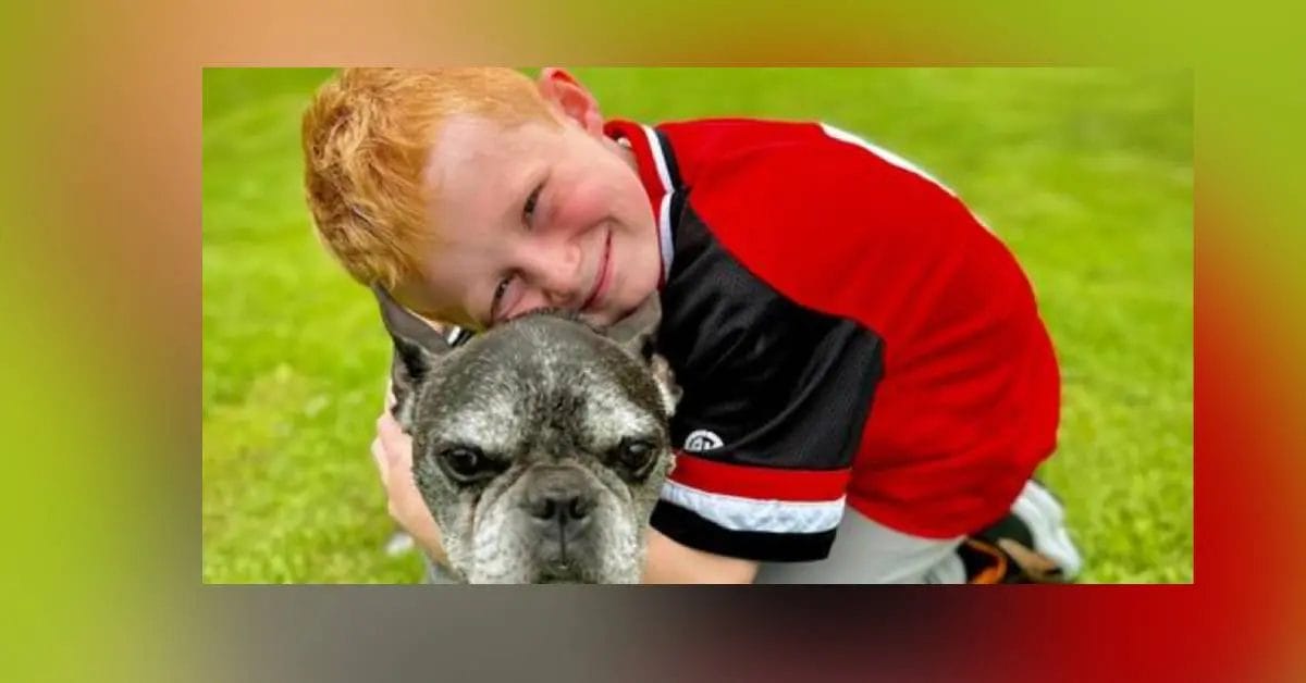 Lincoln Walsh zipline accident: What happened to Lincoln Walsh? 2023 - networth, wiki, biography