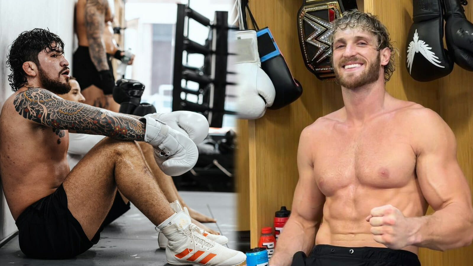 Logan Paul criticized Dillon Danis for announcing he would withdraw from the fight 2023 - networth, wiki, biography