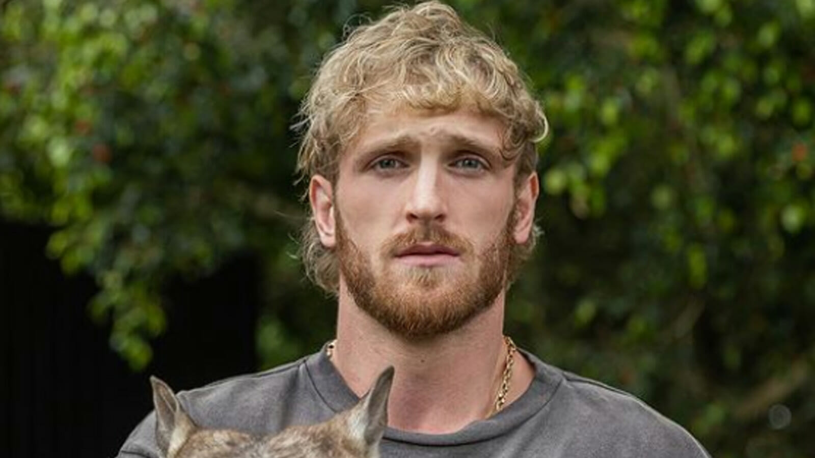 Logan Paul criticized as CryptoZoo victim allegedly offered 10% compensation 2023 - networth, wiki, biography