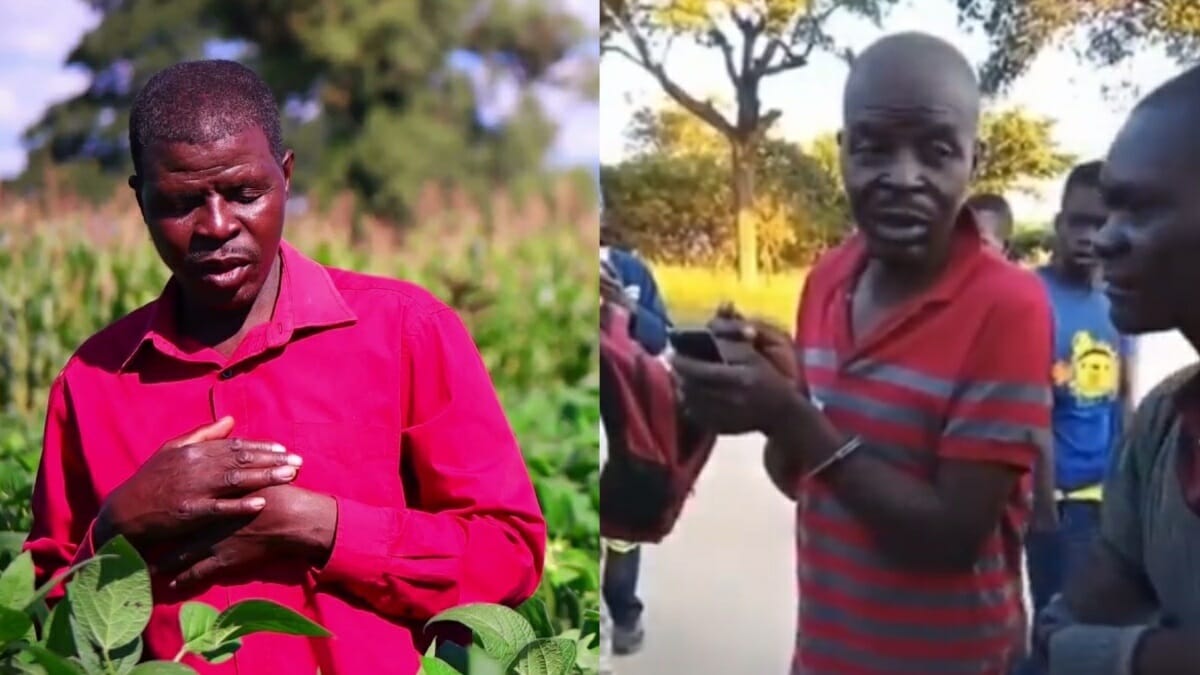 Paradzai Mesi Arrested: Sungura musician charged for stealing groceries 2023 - networth, wiki, biography