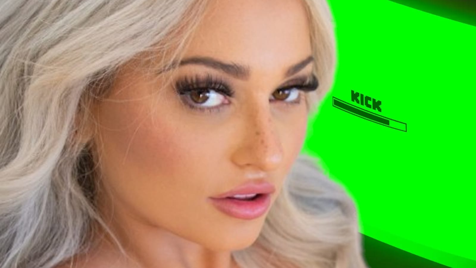 TheDanDangler leaks direct messages from Kick employee after leaving “sexist” platform 2023 - networth, wiki, biography