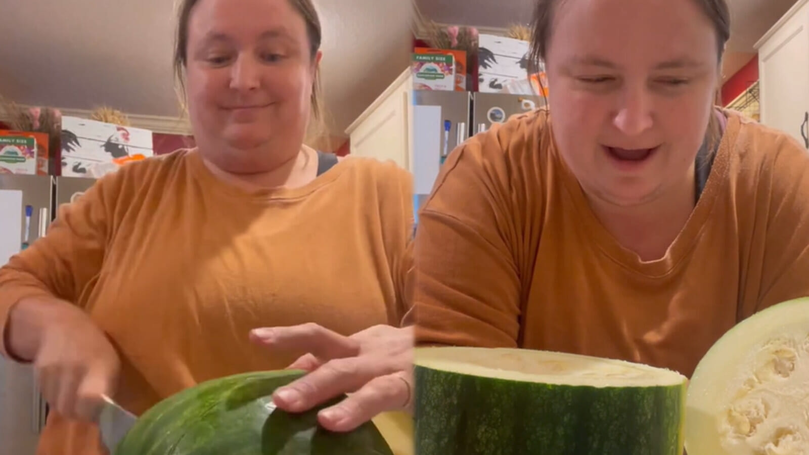 TikToker caused a stir online after home-grown watermelon was revealed to be squash 2023 - networth, wiki, biography