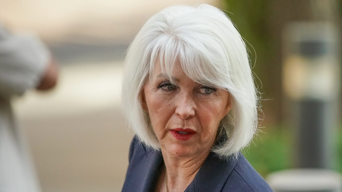 Tina Peters Arrested, Why was Mesa County Clerk Tina Peters Arrested? 2023 - networth, wiki, biography