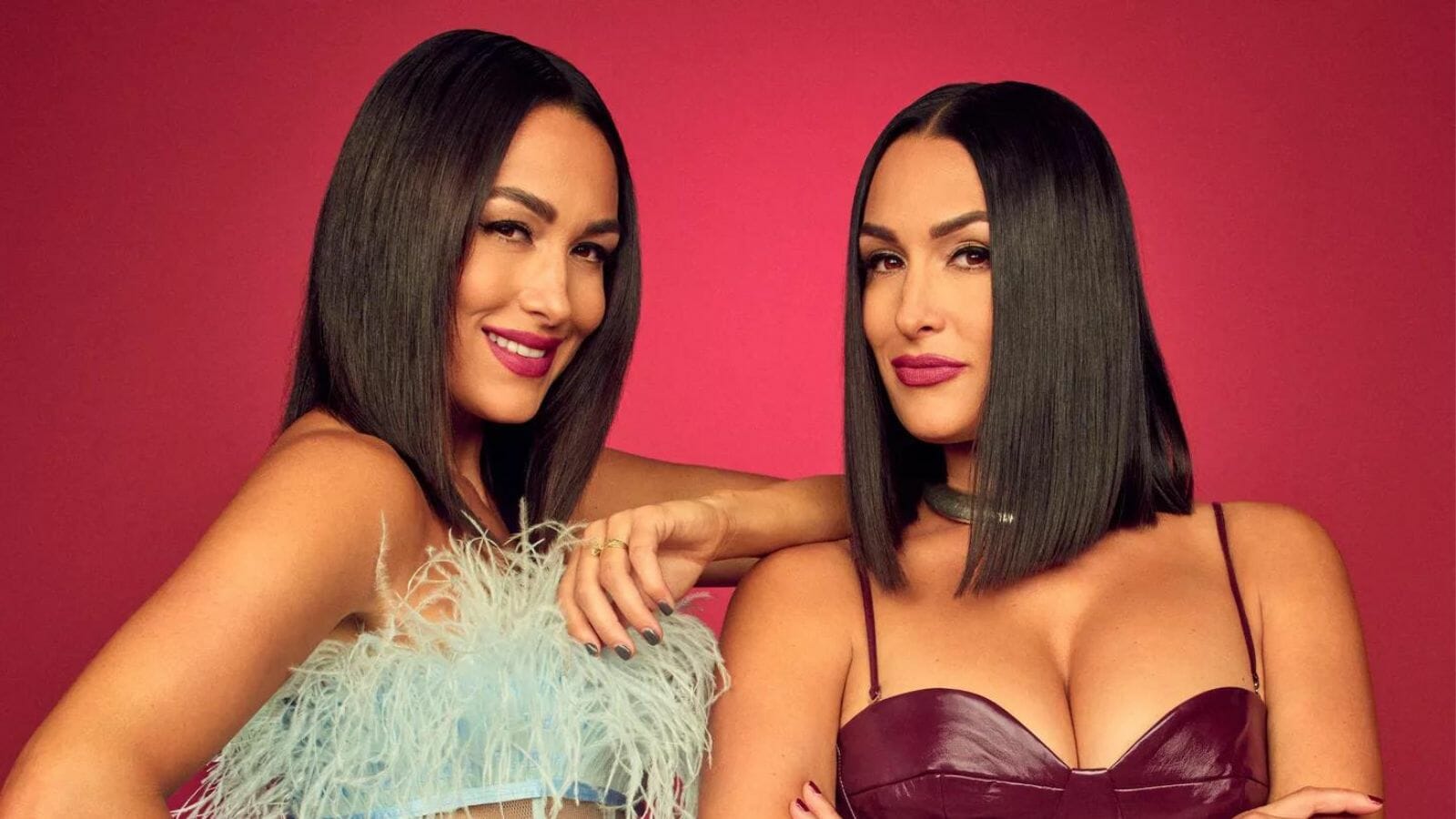 WWE’s Bella Twins Announce Date Show: Everything We Know About Twin Love 2023 - networth, wiki, biography
