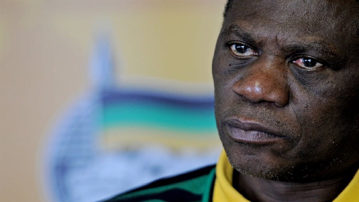 Who Is Paul Mashatile Son-In-Law, Nceba Nonkwelo? Gauteng MEC Maile Orders Probe Son-In-Law’s Company 2023 - networth, wiki, biography