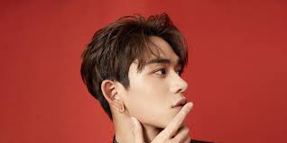 Lucas Wang (NCT member): Wiki, Bio, Age, Family, Girlfriend, Career 2023 - networth, wiki, biography