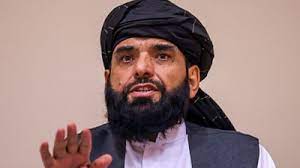 Suhail Shaheen: Wiki, Bio, Age, Family, Net Worth, Politician, Taliban 2023 - networth, wiki, biography