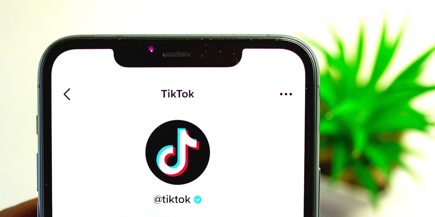 Why You Can’t Put a Link in Your TikTok Bio 2023 - networth, wiki, biography