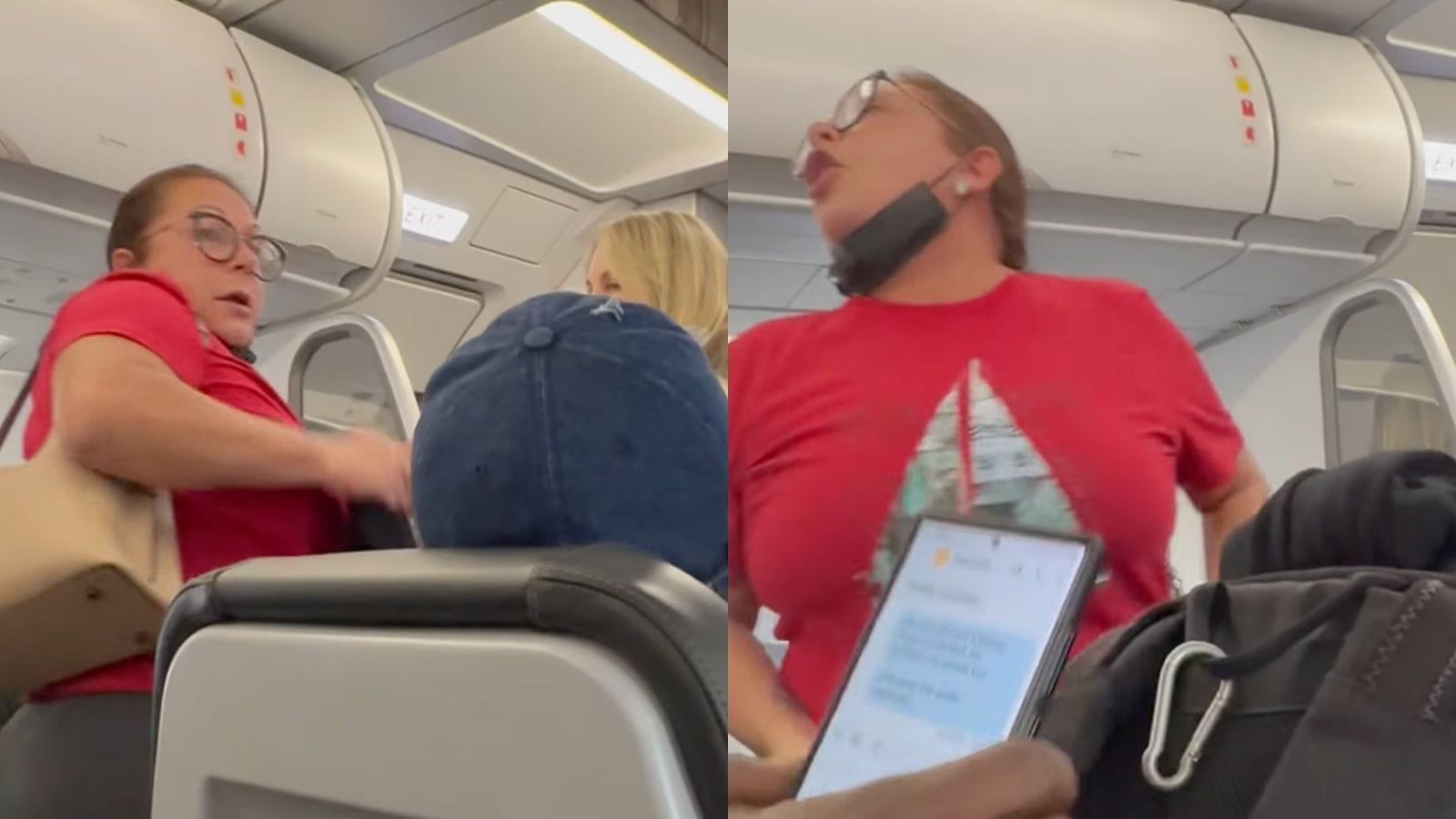 A woman dropped her pants and threatened to pee on the plane’s aisle when the plane crashed 2023 - networth, wiki, biography