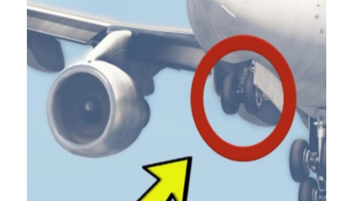 Dead Stowaway Found On KLM Flight From Lagos 2023 - networth, wiki, biography