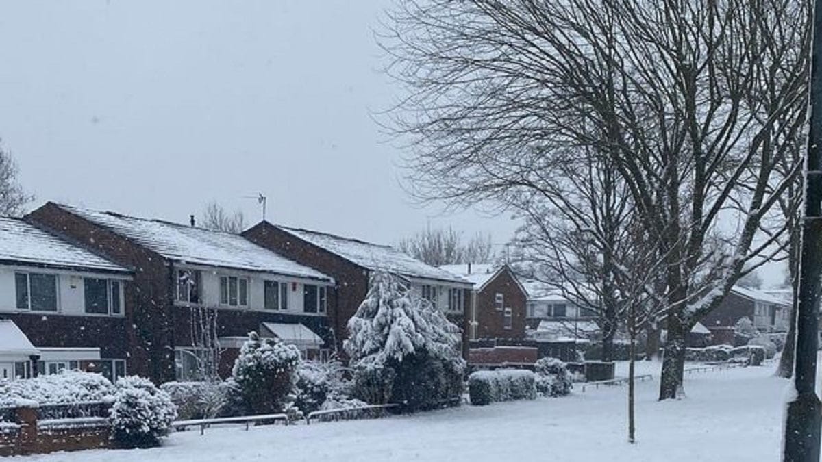 School Closures Due To Snow Birmingham: Check Details 2023 - networth, wiki, biography