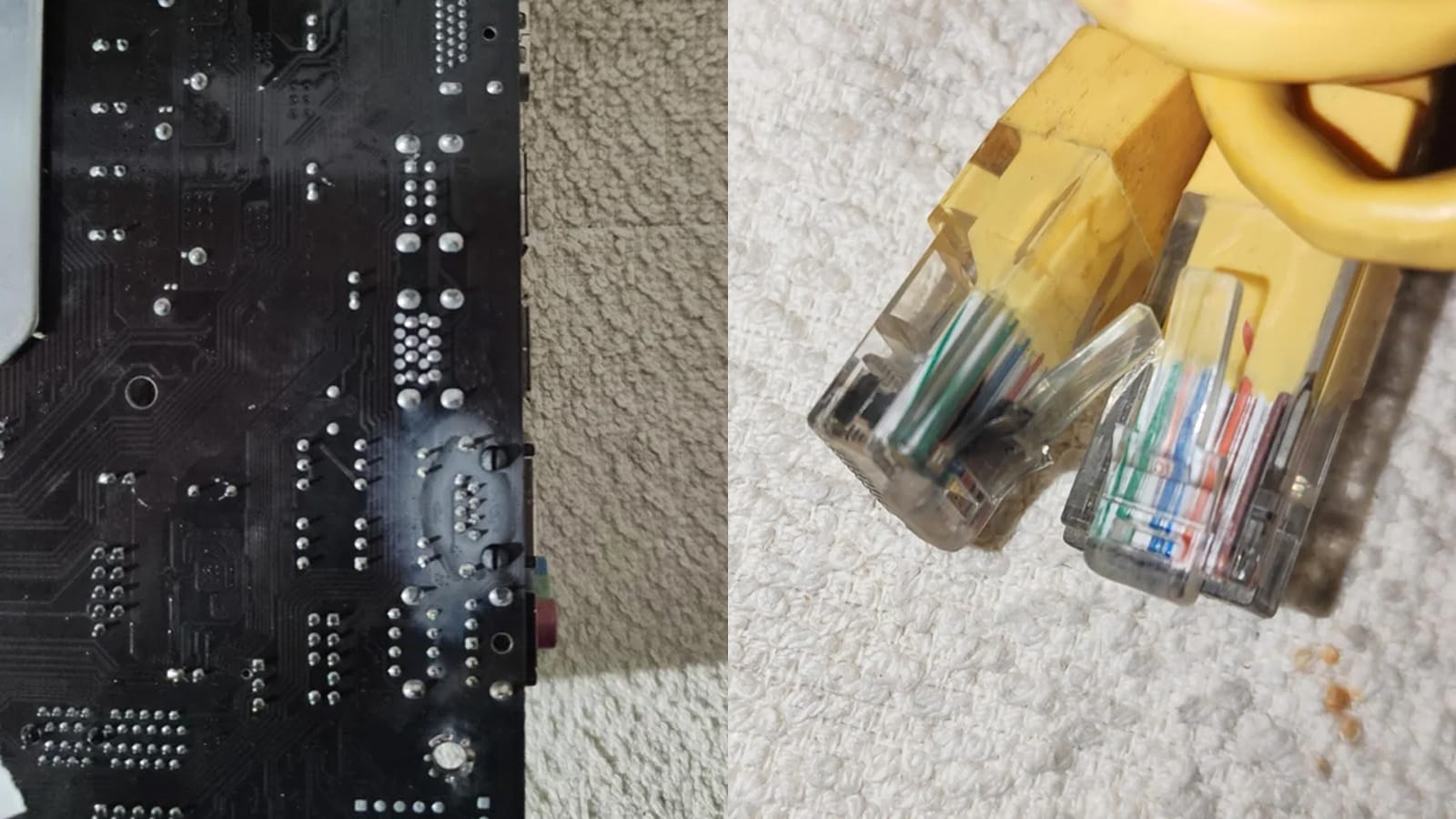 Users were shocked after a lightning strike left PC users fuming 2023 - networth, wiki, biography