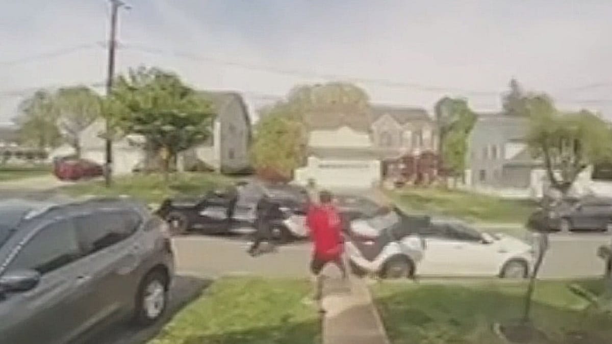 WATCH: Pizza Delivery Driver Trips Suspect Fleeing From Cops 2023 - networth, wiki, biography