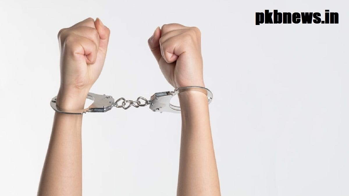 YouTuber Arrested Over Causing Car Crashes for Views and Payouts 2023 - networth, wiki, biography